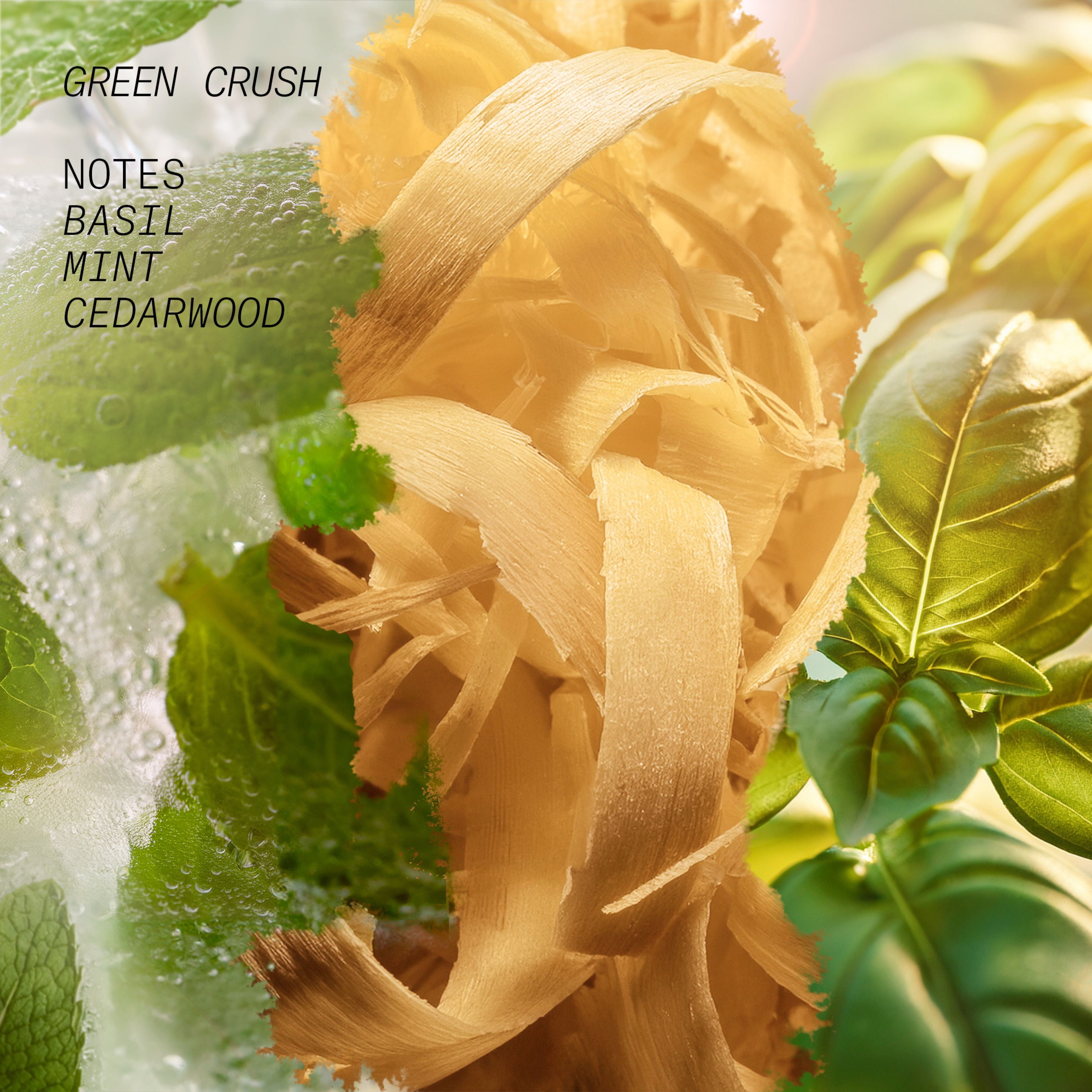 Through the window GREEN CRUSH HAIR MIST RRP £29 - Hair Mist