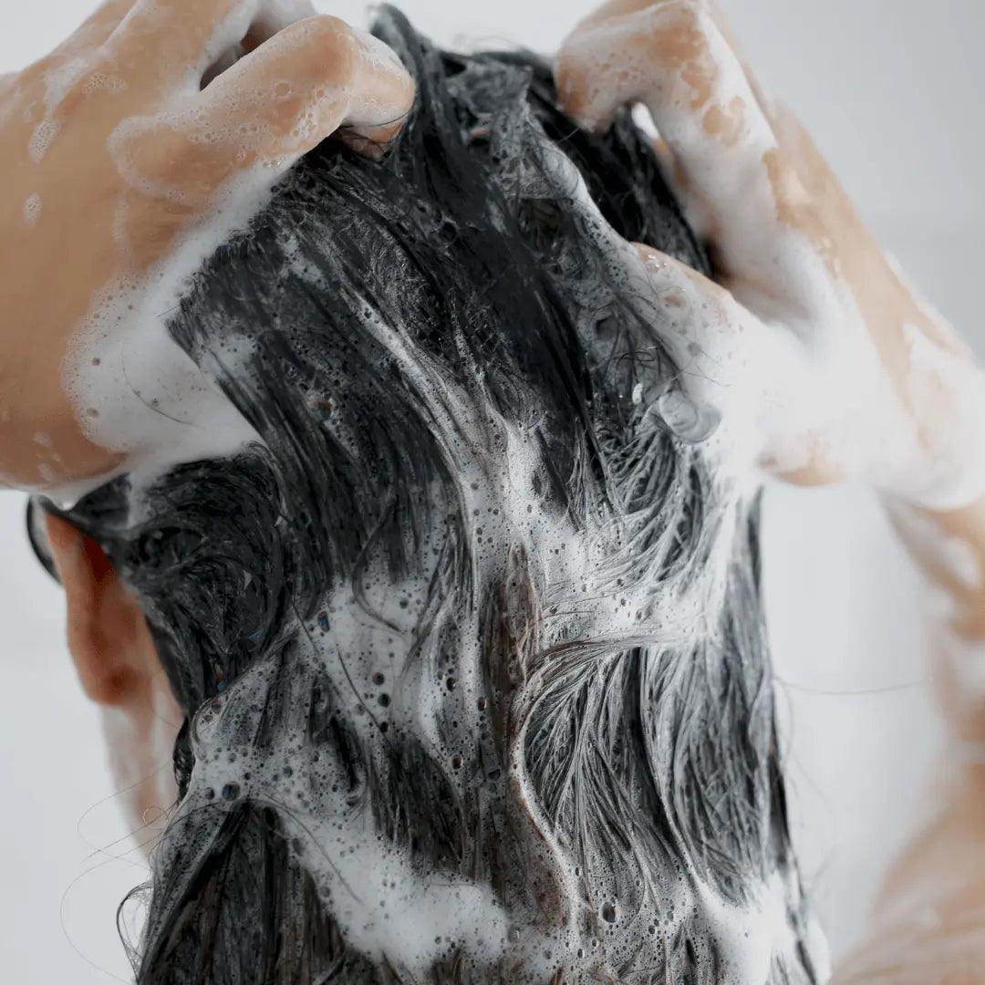 Through the window Balance Shampoo Plant-Based Sulphate-Free - Shampoo