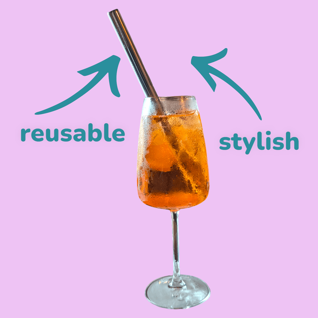 Through the window Stainless Steel Metal Drinking Straws | Reusable Straws (4 pack) - n/a
