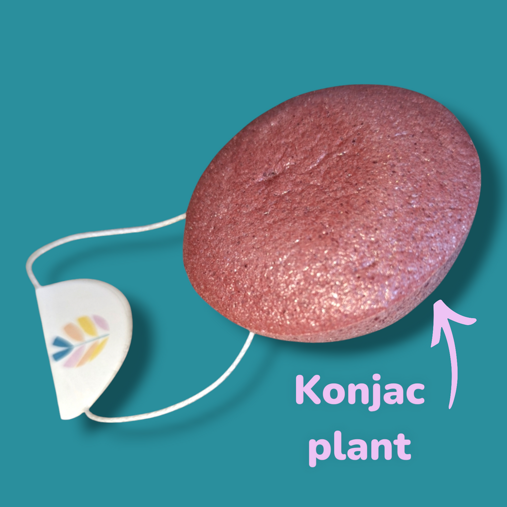 Natural Konjac Cleansing Sponge | Plant Based Natural Beauty Sponge. 🌿 100% NATURAL & Organic