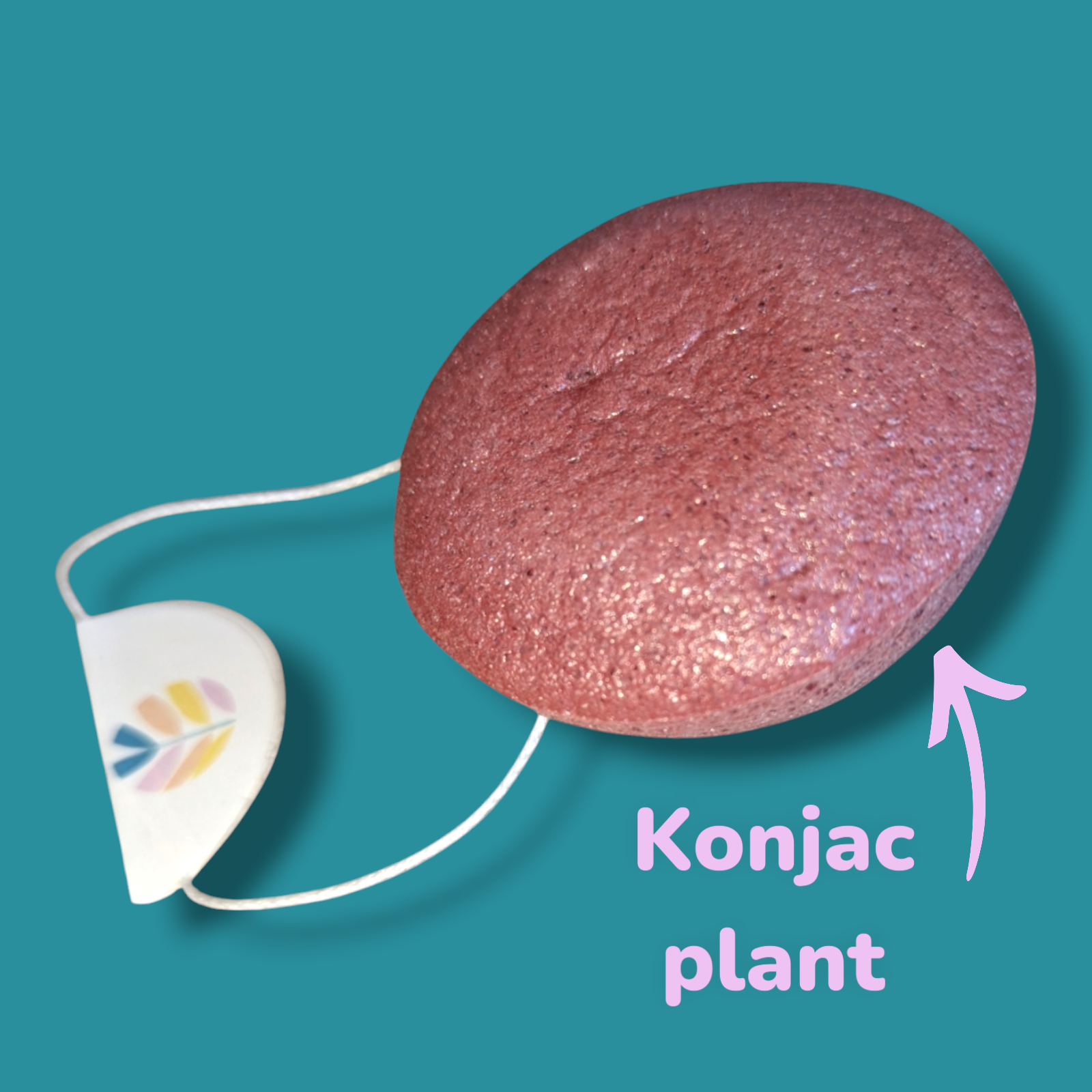Natural Konjac Cleansing Sponge | Plant Based Natural Beauty Sponge. 🌿 100% NATURAL & Organic