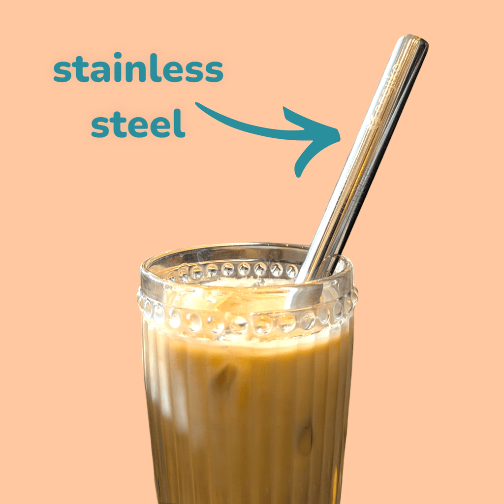 Through the window Stainless Steel Metal Drinking Straws | Reusable Straws (4 pack) - n/a
