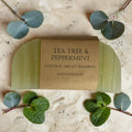 Argan Solid Shampoo Bars