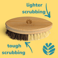 Through the window Bamboo Floor Brush | General Hard and Soft Plastic Free Cleaning Brush - n/a